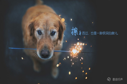 午评：三大指数小幅反弹，全市场超4100只个股上涨